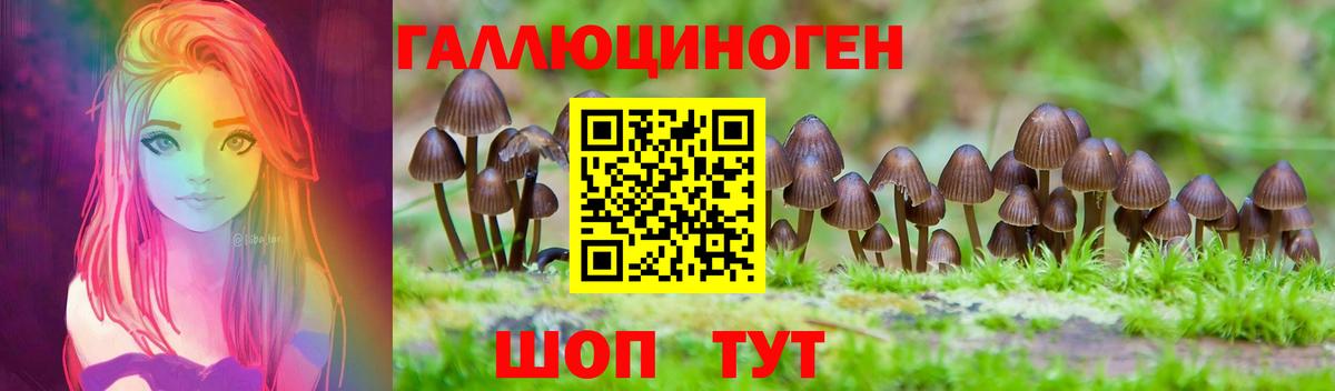Галлюциногенные грибы MAGIC MUSHROOMS  Вход с VPN  Чапаевск  Псилоцибиновые грибы MAGIC MUSHROOMS 